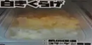 白きくらげ